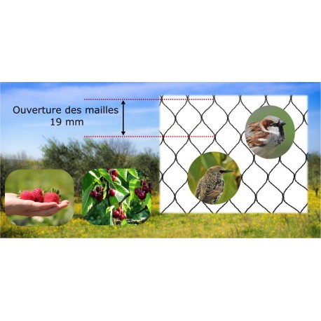 Protection against birds Protection against birds