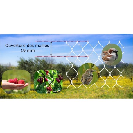 Filet de protection blanc - 4 x 10 m Filet de protection blanc - 4 x 10 m