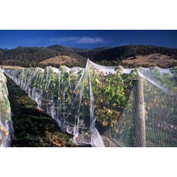 Filet de protection blanc - 4 x 10 m