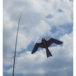 D DOLITY Manches à Air Oiseau Scarabée Cerf-Volant Windsock Effaroucheur Grand Faucon Noir 2pcs N ° 1 