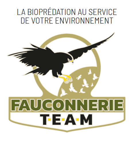 Fauconnerie Team