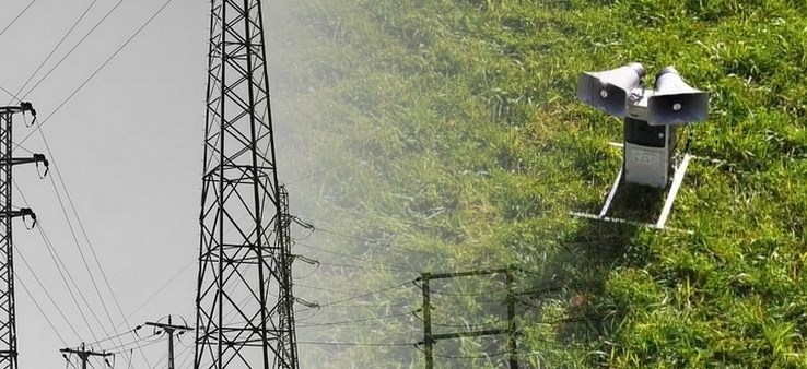 centrale électrique avitrac oiseaux