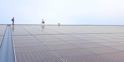 Panneaux solaires oiseaux laser