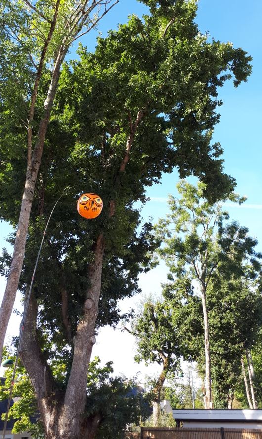 terror eyes scare balloon